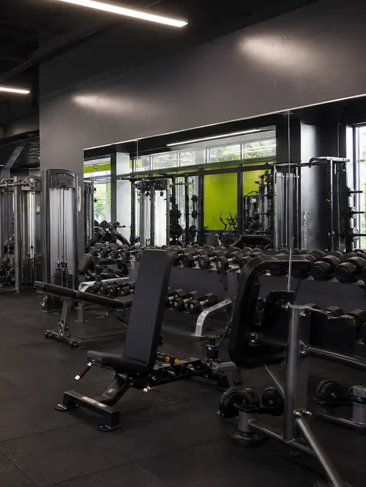 Cardio & HIIT