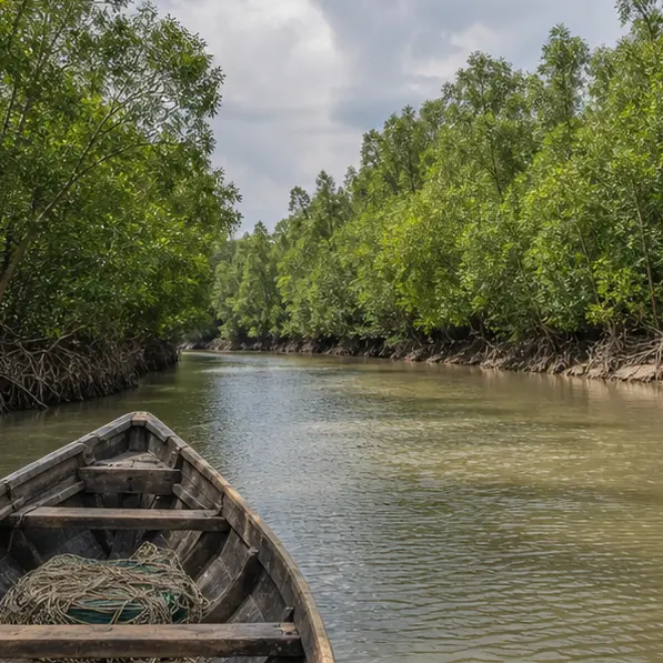 Mangrove river journey